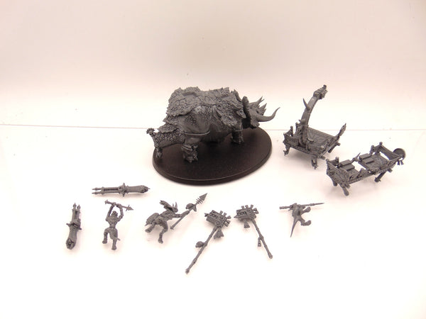 Skink Chief on Stegadon