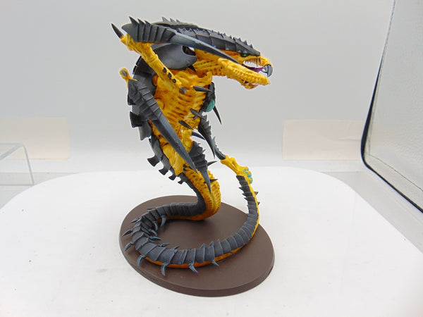 Trygon