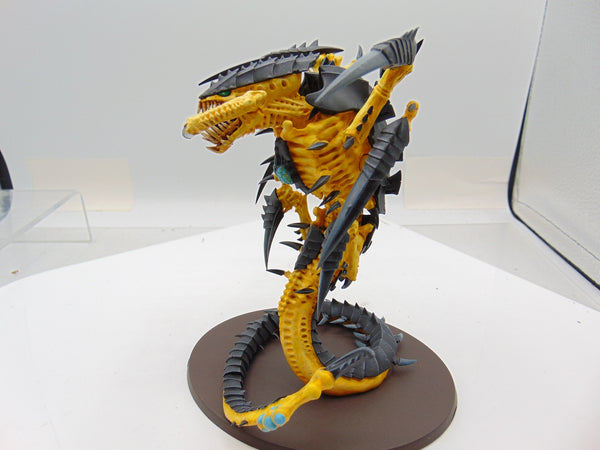 Trygon