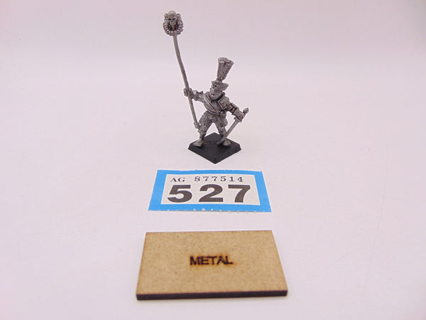 Reiksguard Knight Standard
