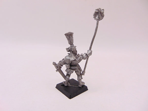 Reiksguard Knight Standard