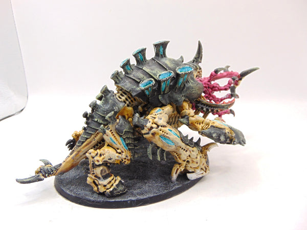Haruspex