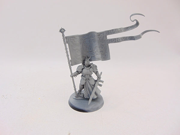 Knight Vexillor with Banner of Apotheosis