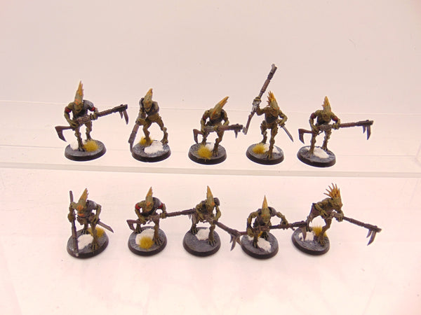 Kroot Carnivores