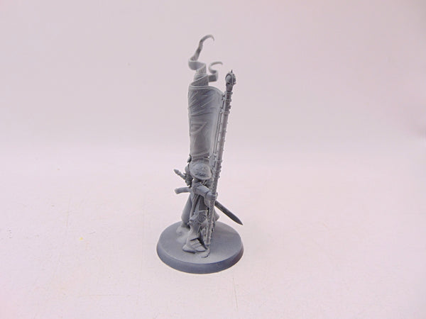 Knight Vexillor with Banner of Apotheosis