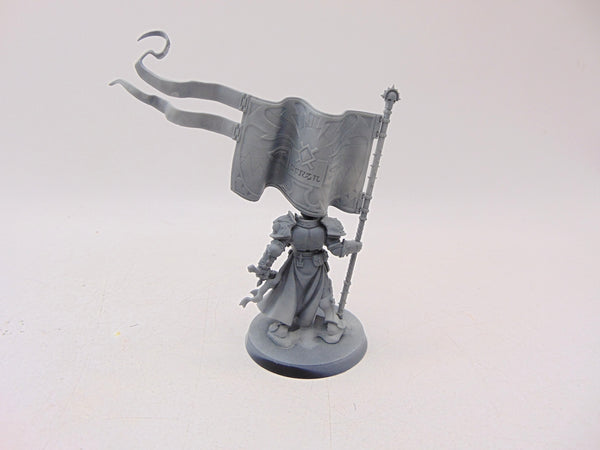 Knight Vexillor with Banner of Apotheosis