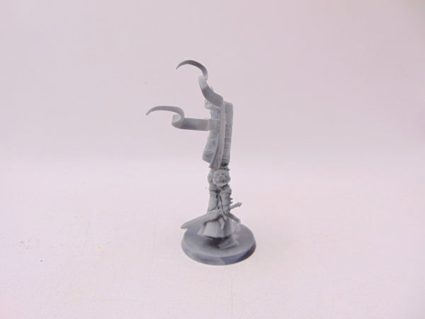 Knight Vexillor with Banner of Apotheosis