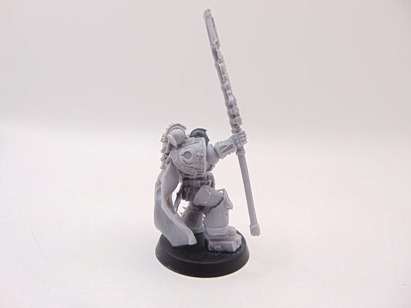 Ultramarines Legions Herald
