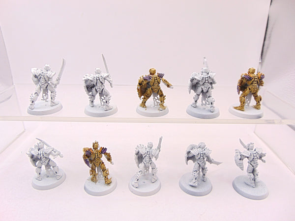 Mortek Guard