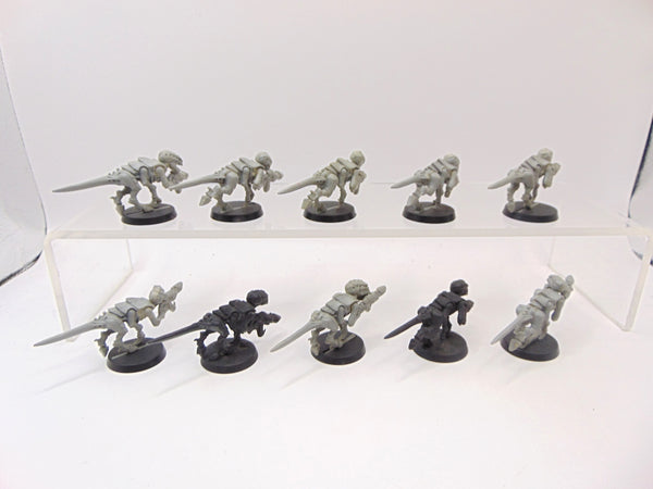 Termagants
