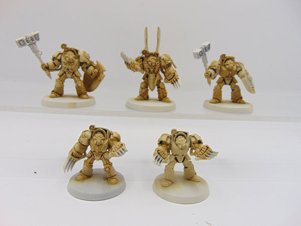 Deathwing Terminator Squad