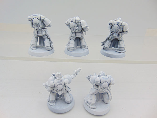 Sternguard Veterans