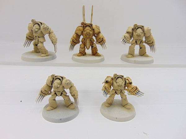 Deathwing Terminator Squad