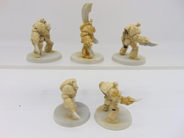 Deathwing Terminator Squad