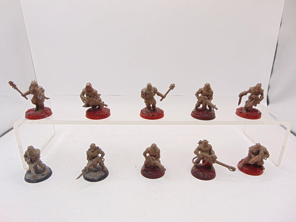 Chaos Cultists
