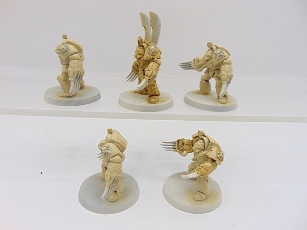 Deathwing Terminator Squad