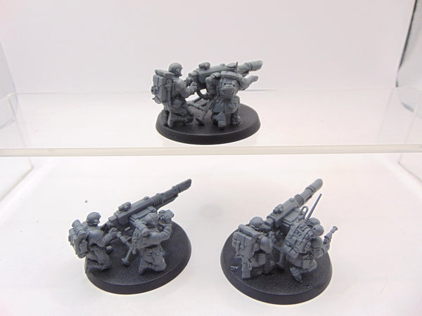 Cadian Heavy Weapon Squad