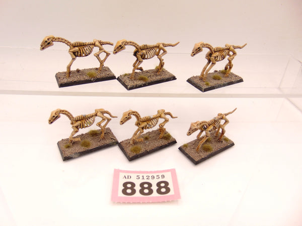 Skeleton Horses