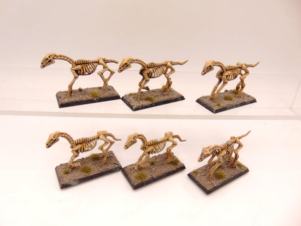 Skeleton Horses