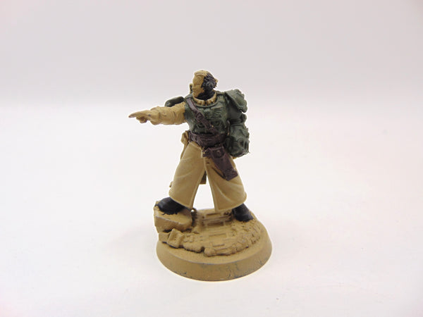 Cadian Castellan