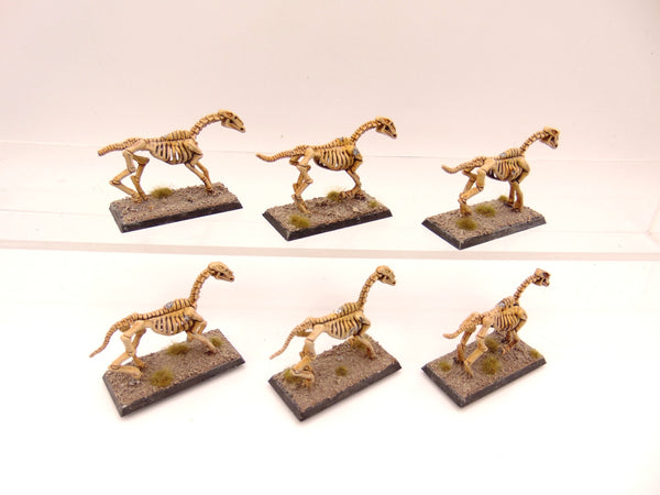 Skeleton Horses