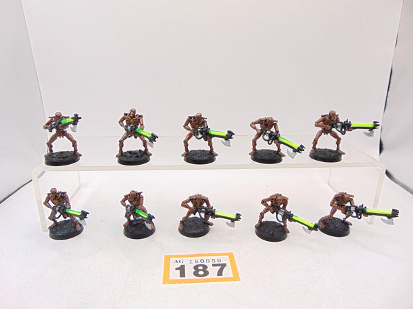 Necron Warriors