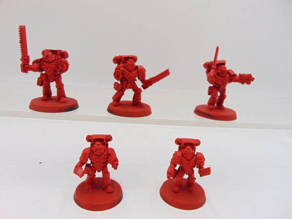 Blood Angels Despoiler Squad