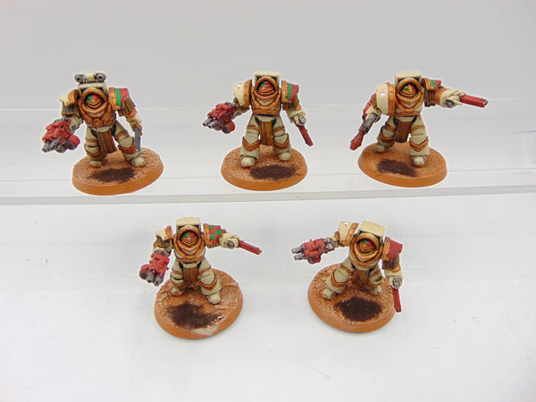 Cataphractii Terminator Squad