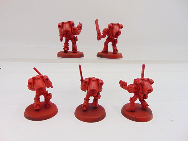 Blood Angels Despoiler Squad