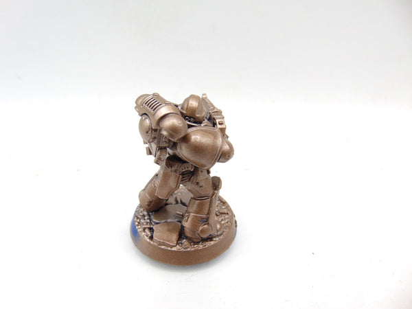 Brother Vignius