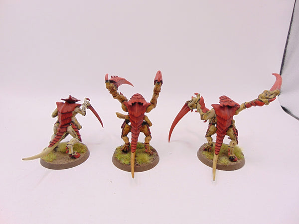 Tyranid Warriors