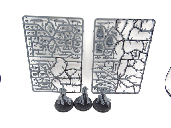 Necropolis Stalkers / Immortis Guard