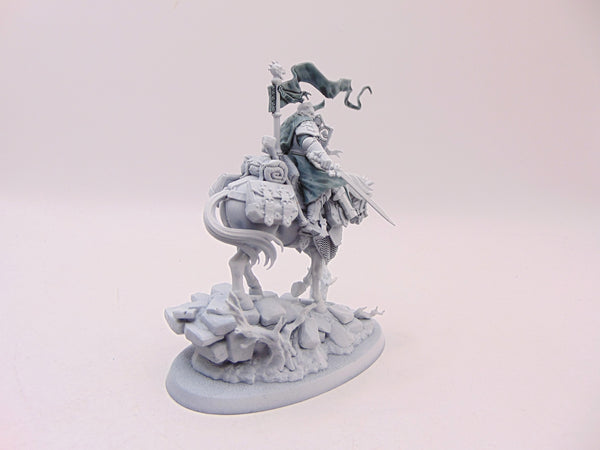 Freeguild Cavalier-Marshal