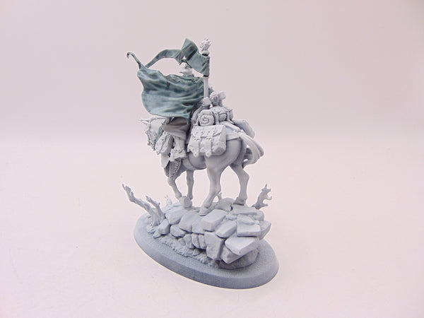 Freeguild Cavalier-Marshal