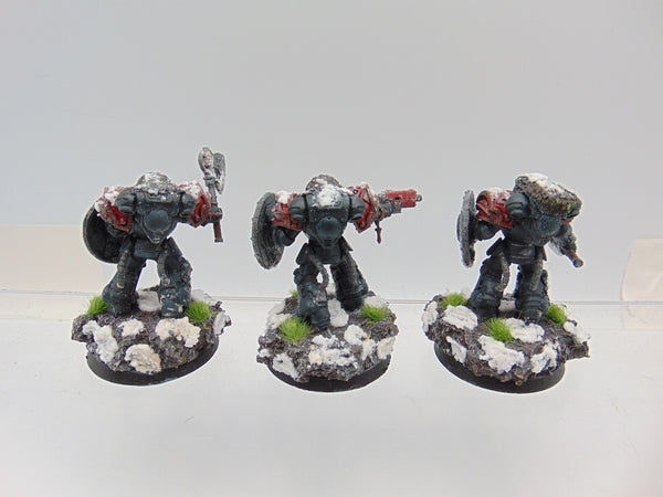 Bladeguard Veterans