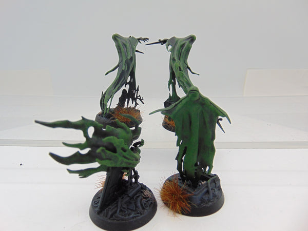 Myrmourn Banshees