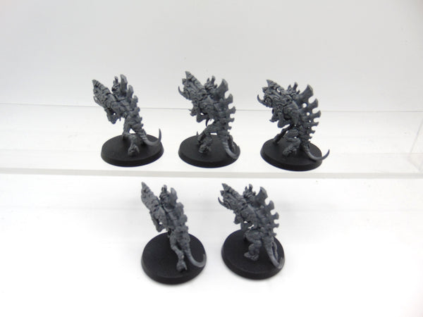Barbgaunts