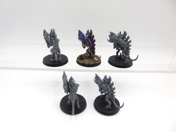 Barbgaunts