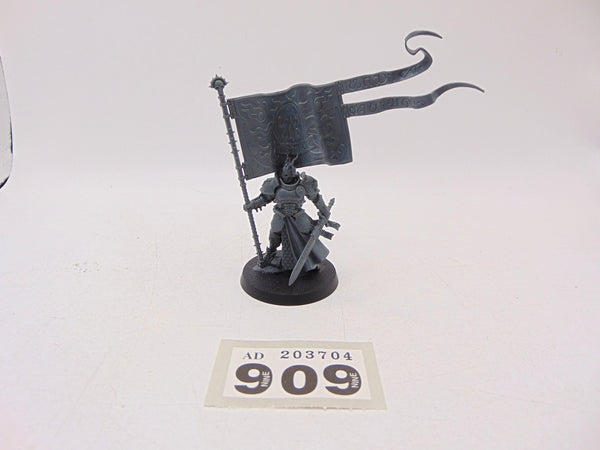 Knight Vexillor with Banner of Apotheosis