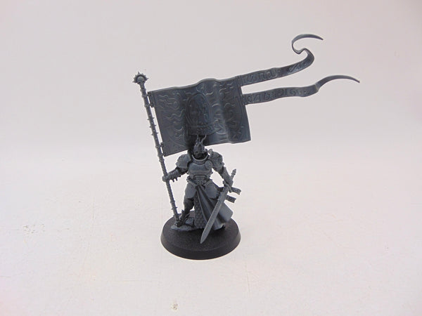 Knight Vexillor with Banner of Apotheosis