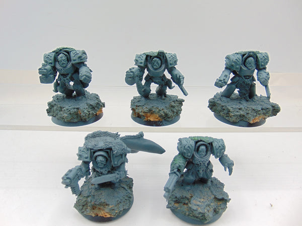 Wolf Guard Terminators