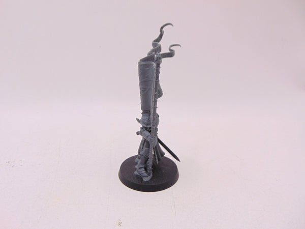 Knight Vexillor with Banner of Apotheosis