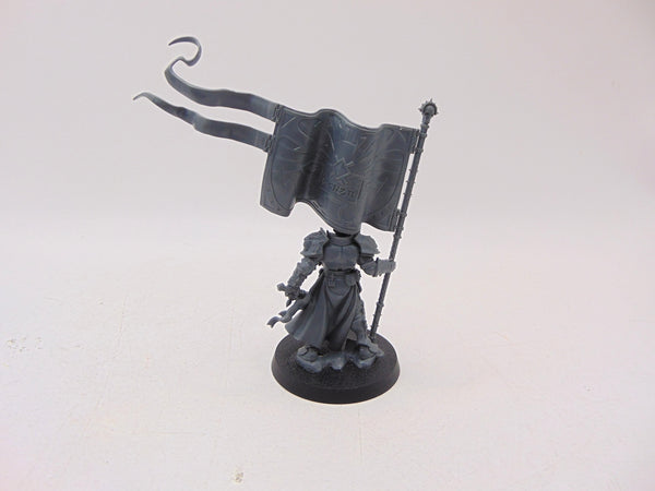 Knight Vexillor with Banner of Apotheosis