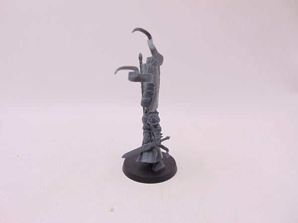 Knight Vexillor with Banner of Apotheosis