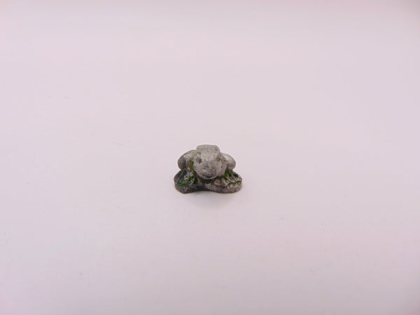 Morgiana Le Fay Toad Familiar
