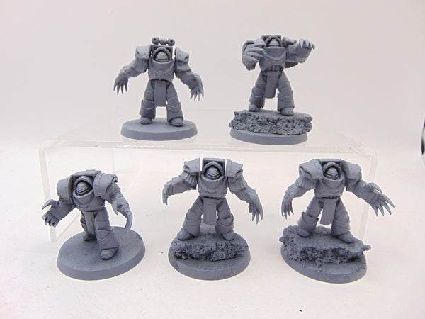 Cataphractii Terminator Squad