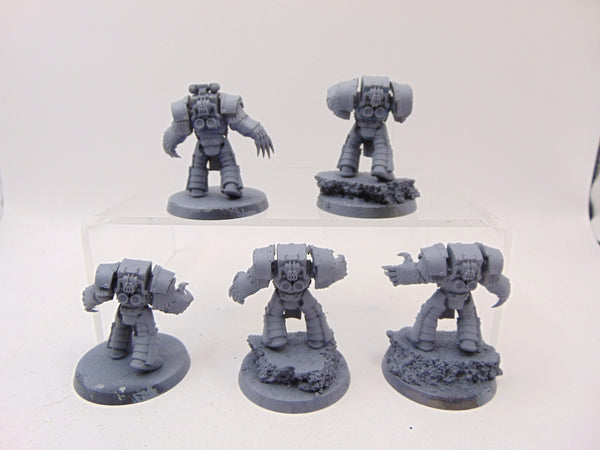 Cataphractii Terminator Squad