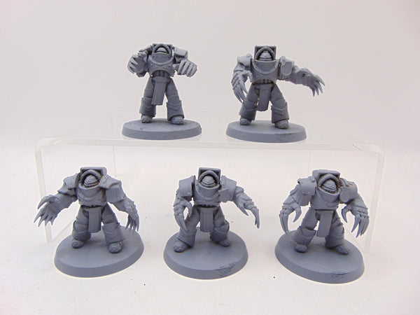 Cataphractii Terminator Squad