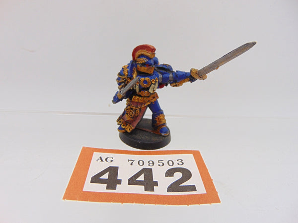 Chapter Champion
