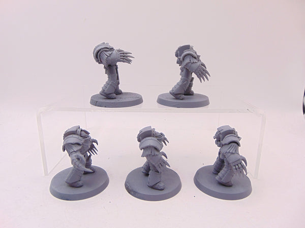 Cataphractii Terminator Squad